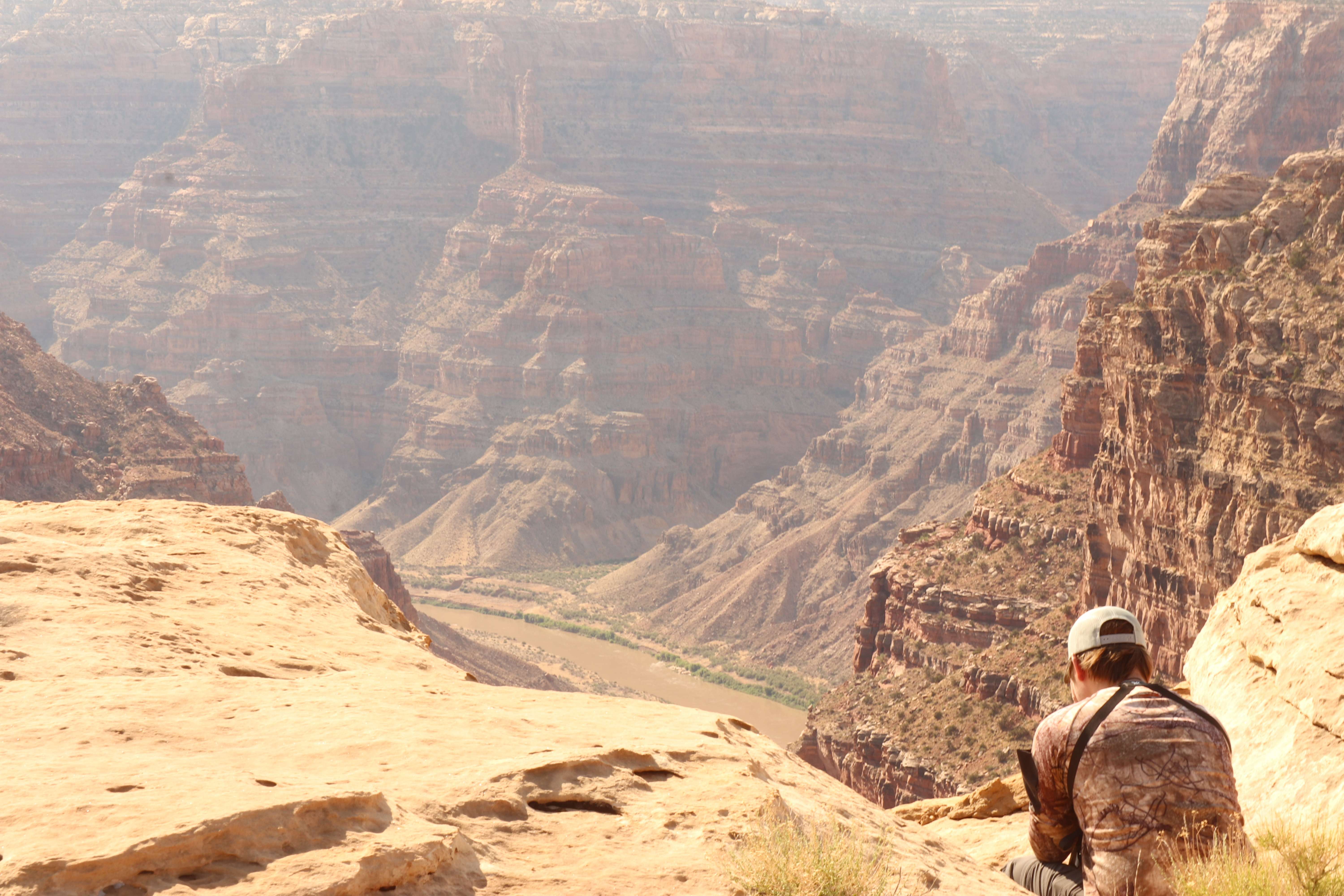 Overlooking a canyon vista